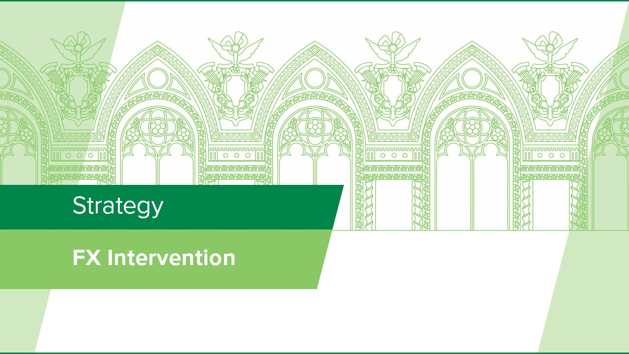 Foreign Exchange Intervention Strategy of the National Bank of Ukraine